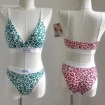 Leopard Bralette Set - Image 4