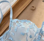 Blue Lace Bra Set - Image 6