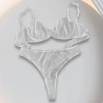Sheer Mesh Bra Set with underwire cups, matching panty, striped mesh, and elegant everyday lingerie styling
