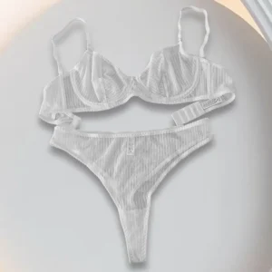 Sheer Mesh Bra Set with underwire cups, matching panty, striped mesh, and elegant everyday lingerie styling