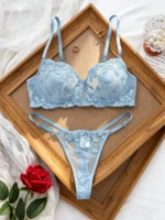 Blue Lace Bra Set - Image 2
