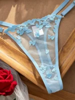 Blue Lace Bra Set - Image 4